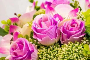 培訓會(huì )議正能量句子