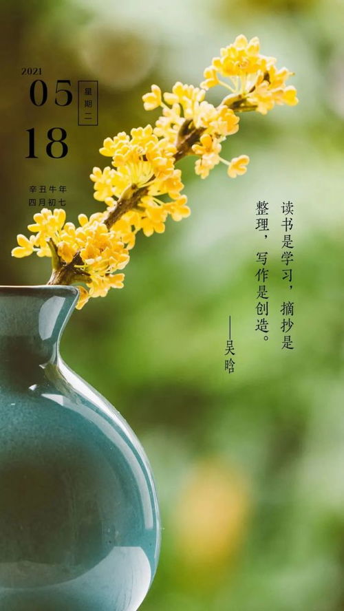 正能量的句子早安問(wèn)候