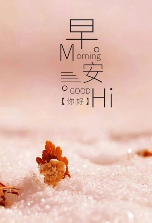 句子,唯美,能量,早上