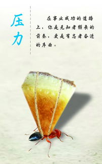 帶孩子正能量的句子說(shuō)說(shuō)心情短語(yǔ)