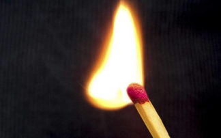 接近正能量的人的句子