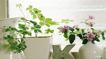 感恩老師正能量句子