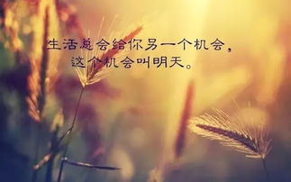 人生感悟正能量的句子簡(jiǎn)短的,人生感悟正能量經(jīng)典句子,句句精辟有哲理,人生感悟的句子正能量