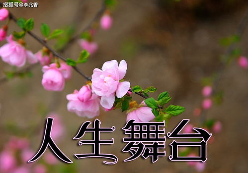 正能量的句子舞臺