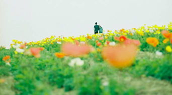 正能量的感悟句子說(shuō)說(shuō)心情短語(yǔ)