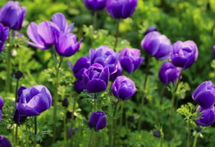 讓人,看完,句子,能量