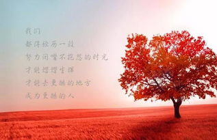 開(kāi)心正能量的句子說(shuō)說(shuō)心情,心情好正能量的句子說(shuō)說(shuō)心情,加油正能量的句子說(shuō)說(shuō)心情