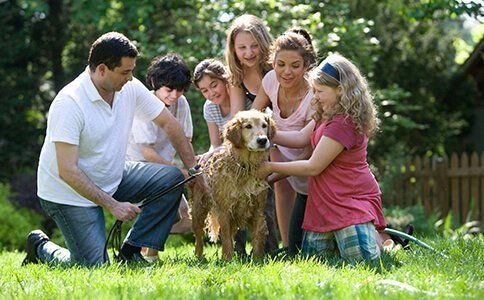 正能量家庭孩子情感句子