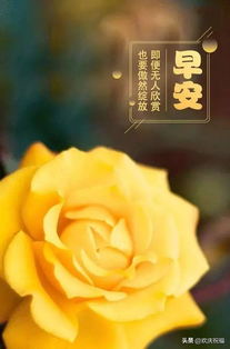 早上怎么發(fā)朋友圈的句子,大早上發(fā)朋友圈的句子,喜歡早上發(fā)朋友圈的句子