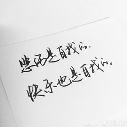 關(guān)于情緒正能量句子