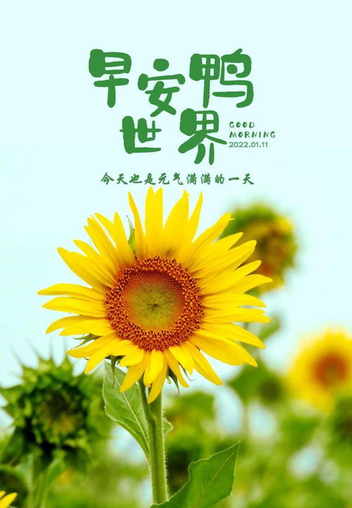 早上發(fā)圈的正能量和句子,早上激勵的正能量的句子和,早上努力正能量的句子和