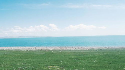 積極向上正能量的文言文句子,正能量文言文句子及翻譯,正能量的文言文句子經(jīng)典語(yǔ)句