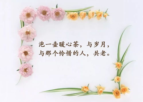 正能量感悟人生的經(jīng)典句子,忙碌感悟人生正能量句子,感悟人生正能量勵志句子