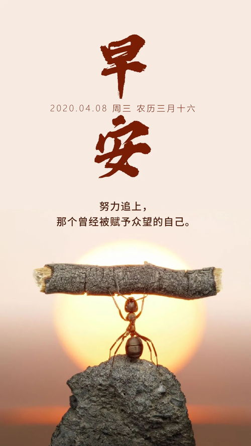 星期三語(yǔ)錄正能量句子