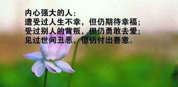 簡(jiǎn)短,句子,能量,鼓勵