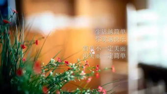 正能量的可愛(ài)句子