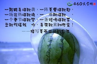 有關(guān)夏天音樂(lè )正能量的句子