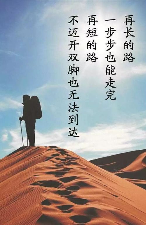 句子,能量,陽(yáng)光,心情