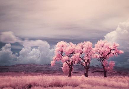 心向陽(yáng)光正能量的句子工作勵志