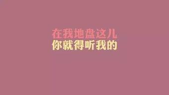 句子,包容,能量