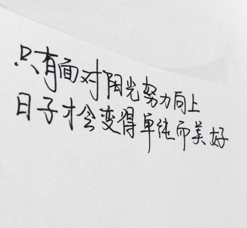 句子,能量,猶豫,努力