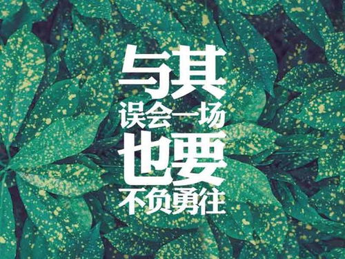 關(guān)于堅持的正能量句子,正能量?jì)?yōu)秀句子,正能量滿(mǎn)滿(mǎn)的勵志句子