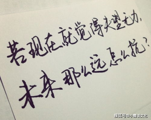 勵志短語(yǔ)正能量奮斗的句子,女人勵志短語(yǔ)正能量霸氣,勵志短語(yǔ)正能量奮斗的句子八字