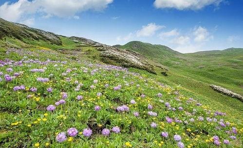 簡(jiǎn)短,句子,能量,樂(lè )觀(guān)