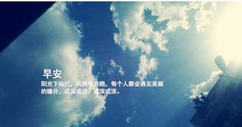 每日工作分享正能量句子