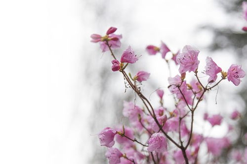 上進(jìn),句子,激勵,能量