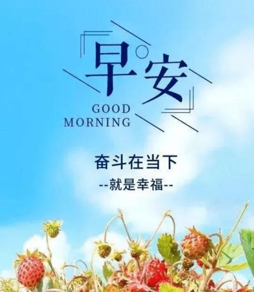 句子,能量,熱愛(ài)