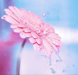 愛(ài)情正能量的句子,愛(ài)情正能量的句子簡(jiǎn)短,愛(ài)情心態(tài)正能量的句子