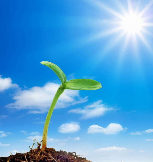 關(guān)于堅強的正能量句子說(shuō)說(shuō)心情短語(yǔ)