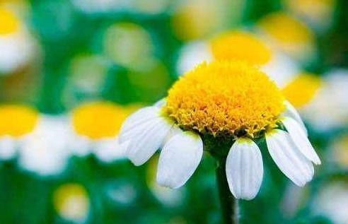 抖音熱門(mén)文案愛(ài)情正能量,發(fā)抖音文案愛(ài)情正能量,抖音文案大全正能量愛(ài)情