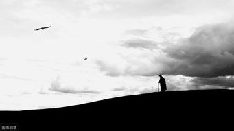 修行,句子,能量