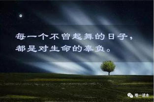 參加正能量活動(dòng)發(fā)朋友圈的句子