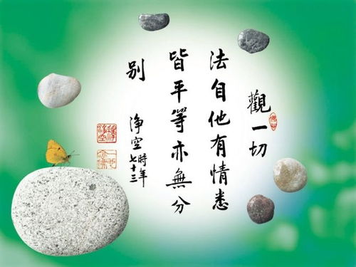 句子,能量,佛系禪語(yǔ)正