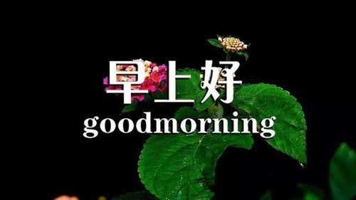 下雨正能量的句子朋友圈,早上滿(mǎn)滿(mǎn)的正能量句子,下雨早安語(yǔ)錄正能量的句子