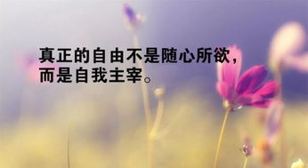 正能量情感語(yǔ)錄集句子