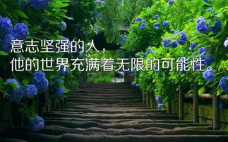 工作勵志的句子英語(yǔ)正能量