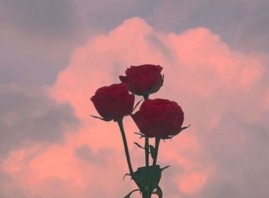 處于低谷正能量句子,低谷期正能量的短句,人生低谷正能量句子