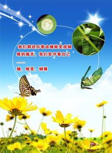 青春句子簡(jiǎn)短正能量關(guān)于堅持