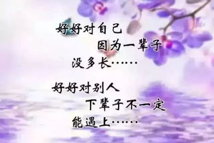 專(zhuān)一的感情很少正能量句子