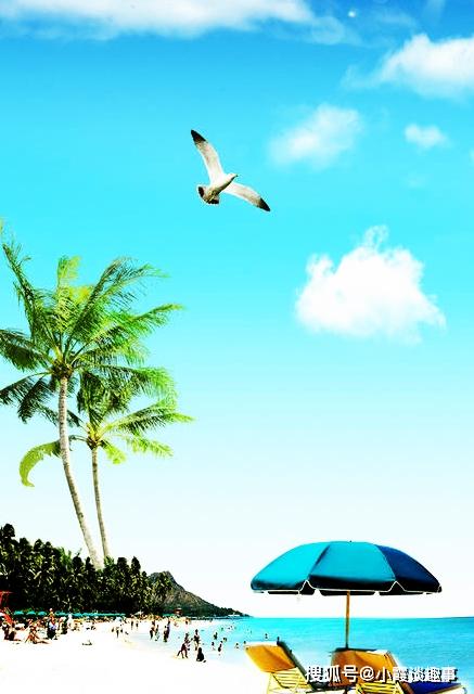 陽(yáng)光滿(mǎn)滿(mǎn)正能量的句子