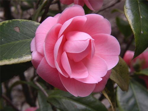 描寫(xiě)焊工的正能量句子,描寫(xiě)正能量的優(yōu)美句子,描寫(xiě)老同志正能量的句子