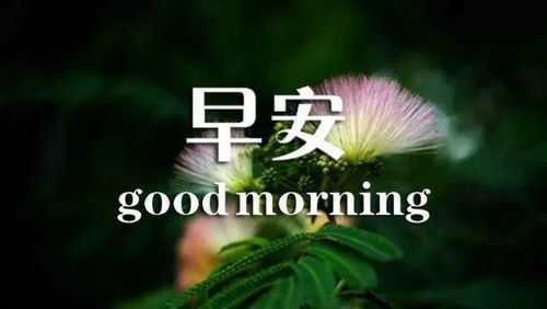 早安正能量句子和,早安正能量句子帶,早安正能量句子和配圖