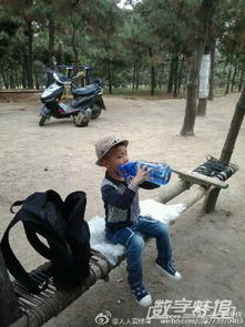 父子愛(ài)的正能量句子