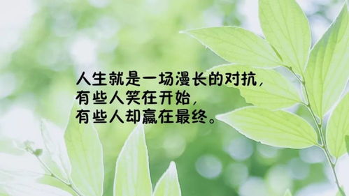 教育孩子發(fā)圈句子正能量