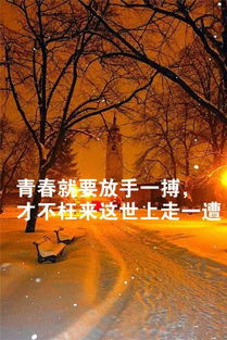 簡(jiǎn)單干凈的八個(gè)字句子正能量,晚安句子簡(jiǎn)單正能量最美,簡(jiǎn)單晚安短句子正能量