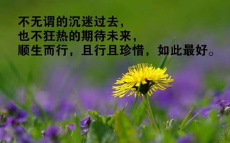 認真做事正能量句子